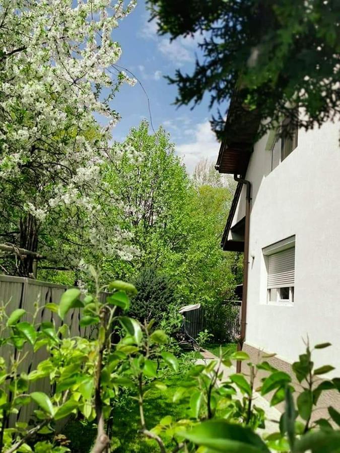 Casa File De Poveste Тиргу-Жіу Екстер'єр фото