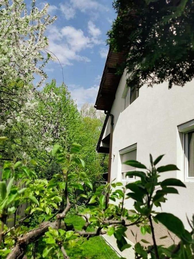 Casa File De Poveste Тиргу-Жіу Екстер'єр фото